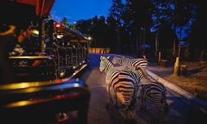 7 trải nghiệm chơi đêm ở Singapore dành cho khách Việt