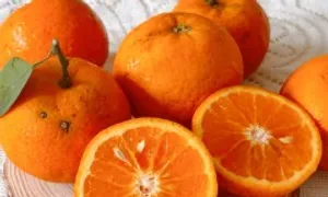 6 món ăn giúp tăng collagen cho cơ thể