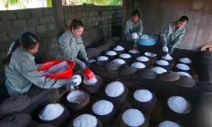 Nghề làm muối hầm